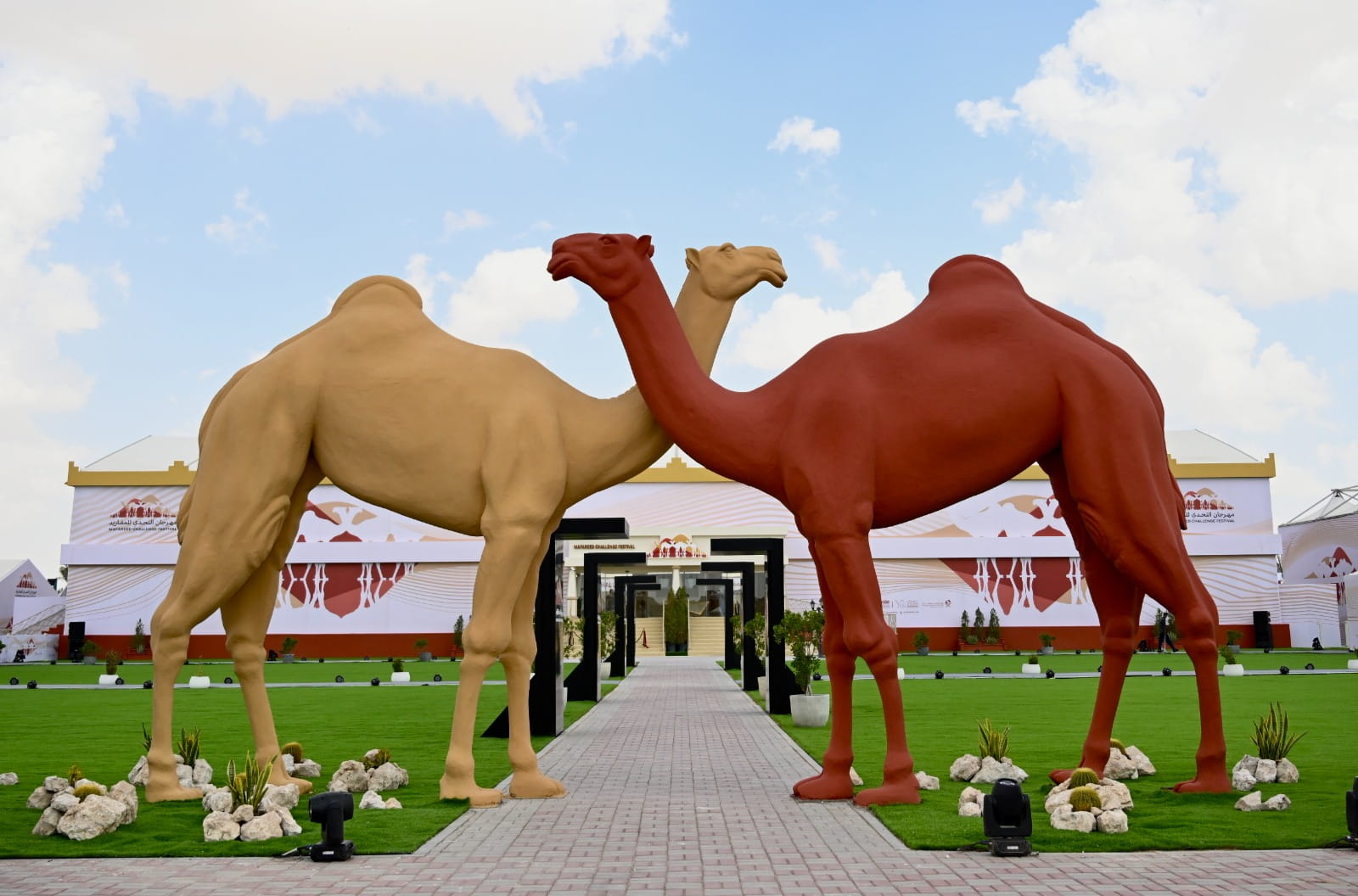 فعاليات مهرجان قطر للإبل